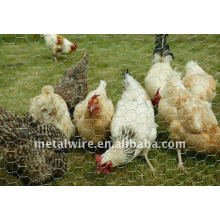 International Chicken Wire Netting